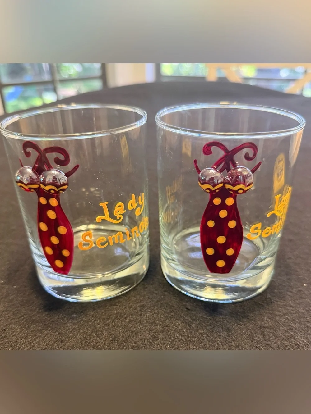 FLORIDA STATE UNIVERSITY Seminoles ladies whisky Glasses 14oz